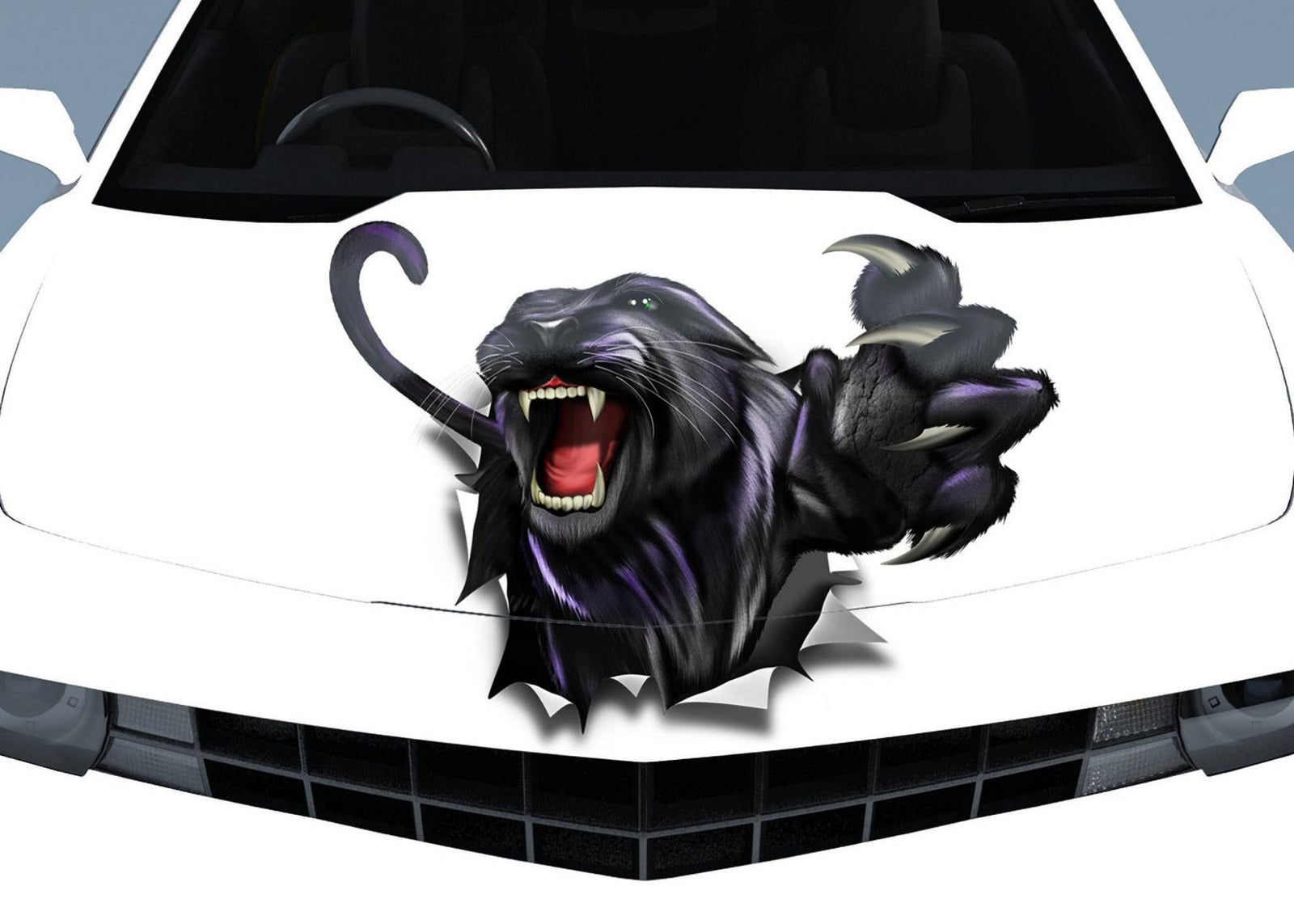 White sports car with panther ripping through metal vinyl hood decal centered on front