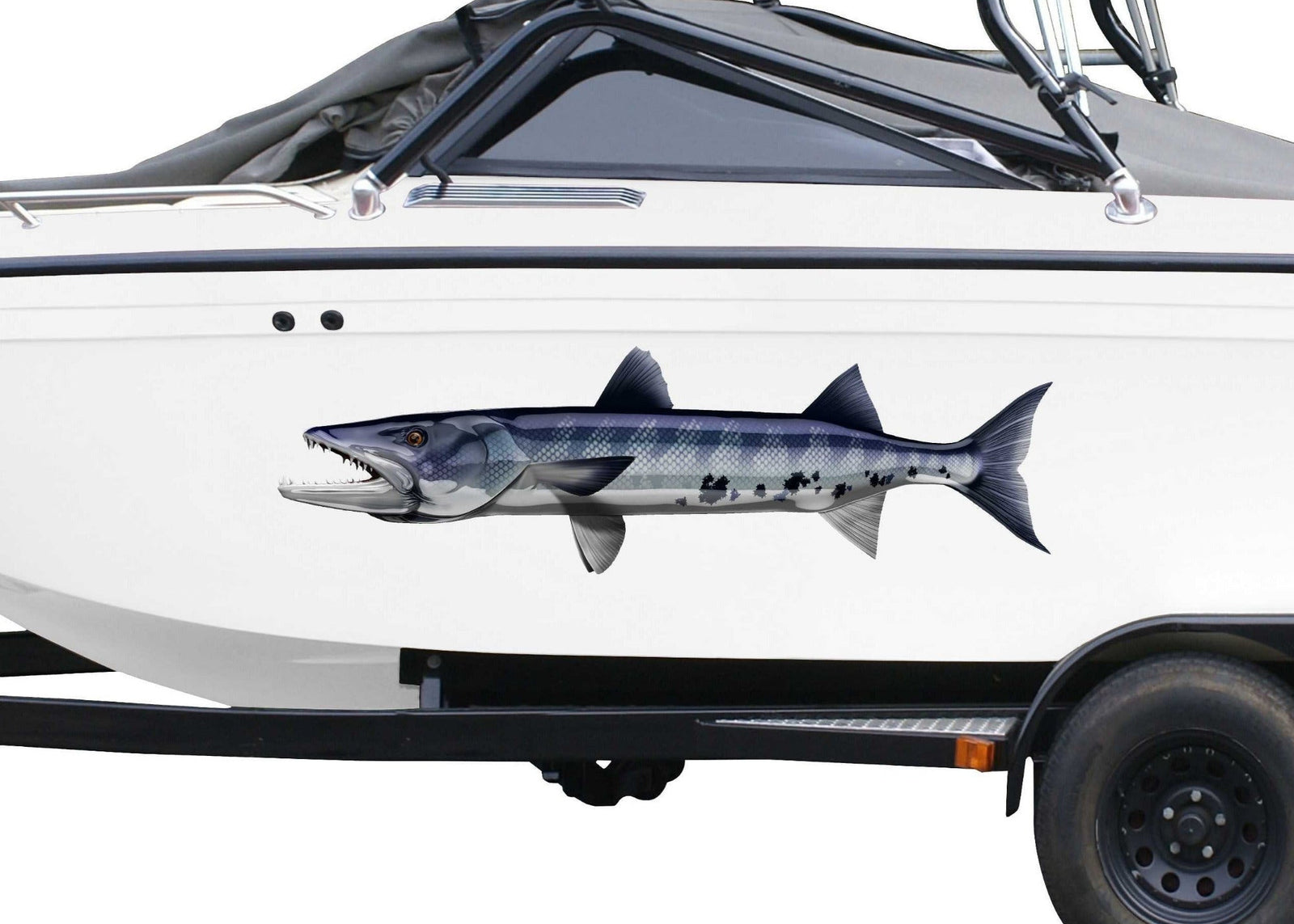 blue barracuda vinyl graphics installed on the side of a boat