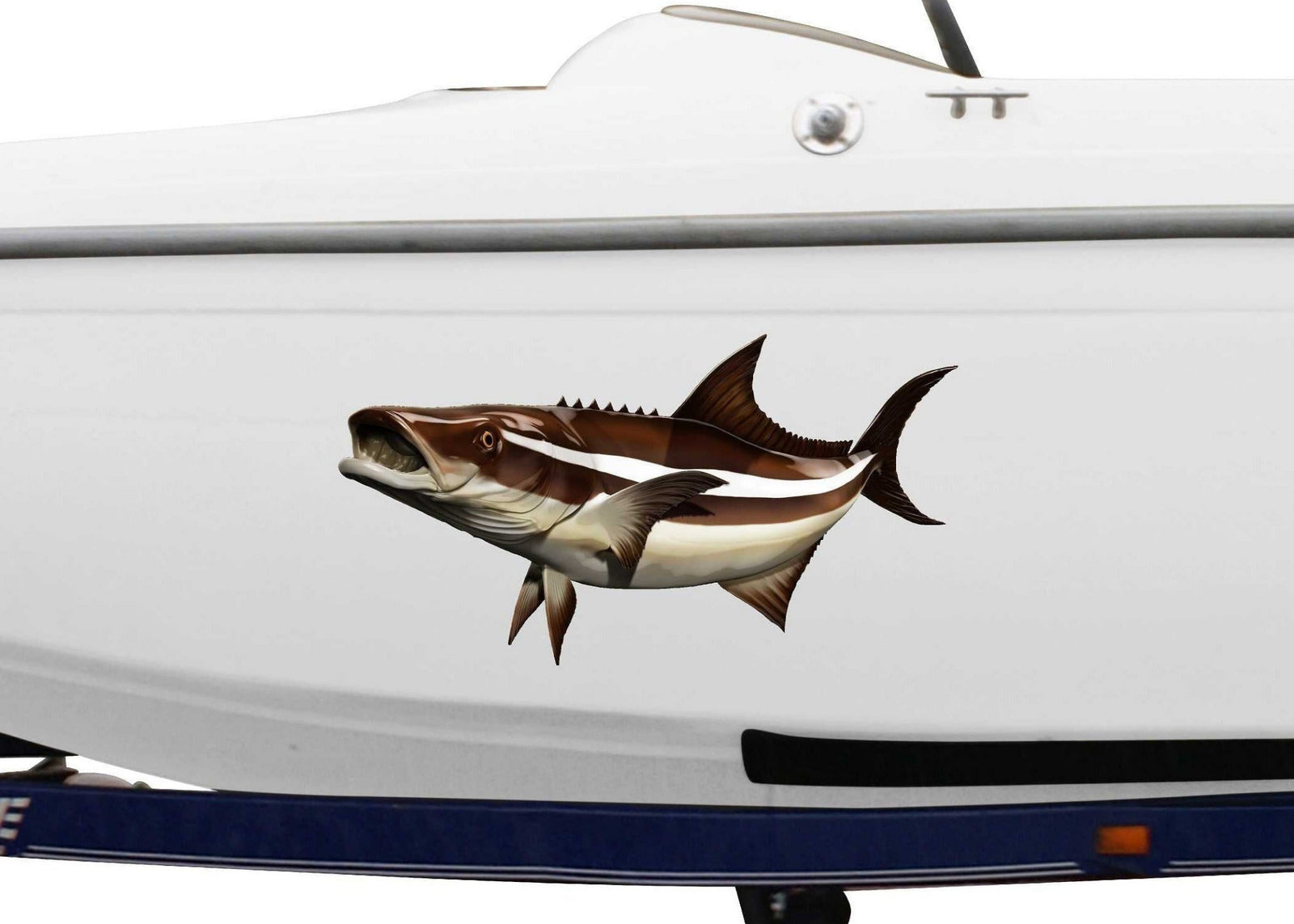cobia fish vinyl graphics on the side of boat