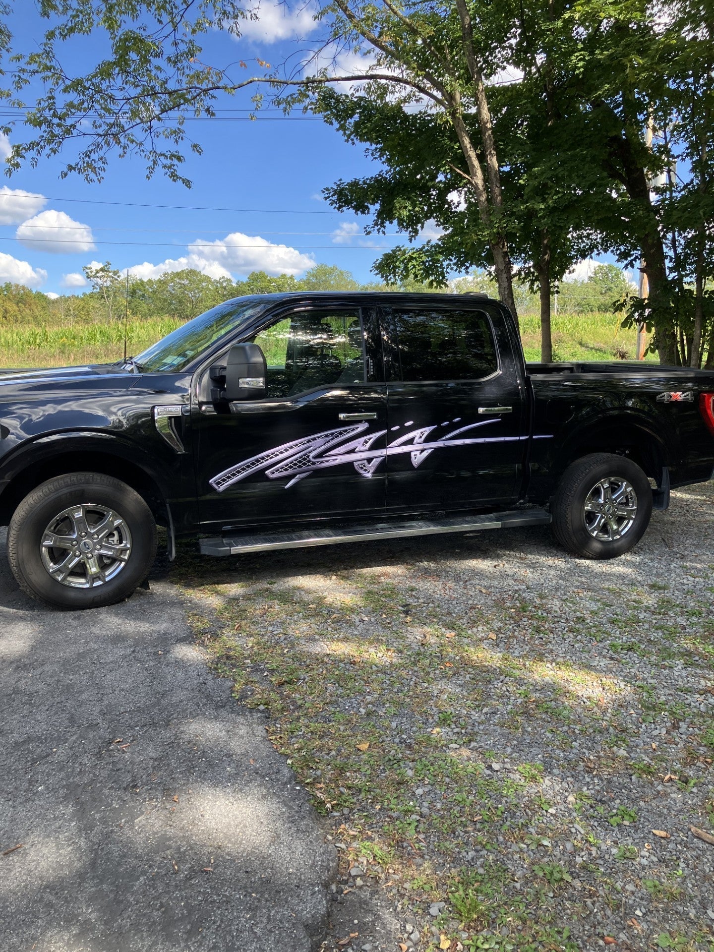 black F150 Pickup Truck with Rivet Edge decal stripes parked outdoors next to trees