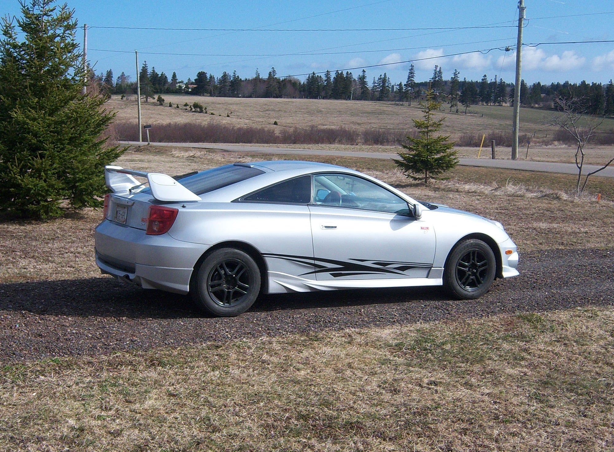 tribal stripes vinyl decals on silver gt car copy