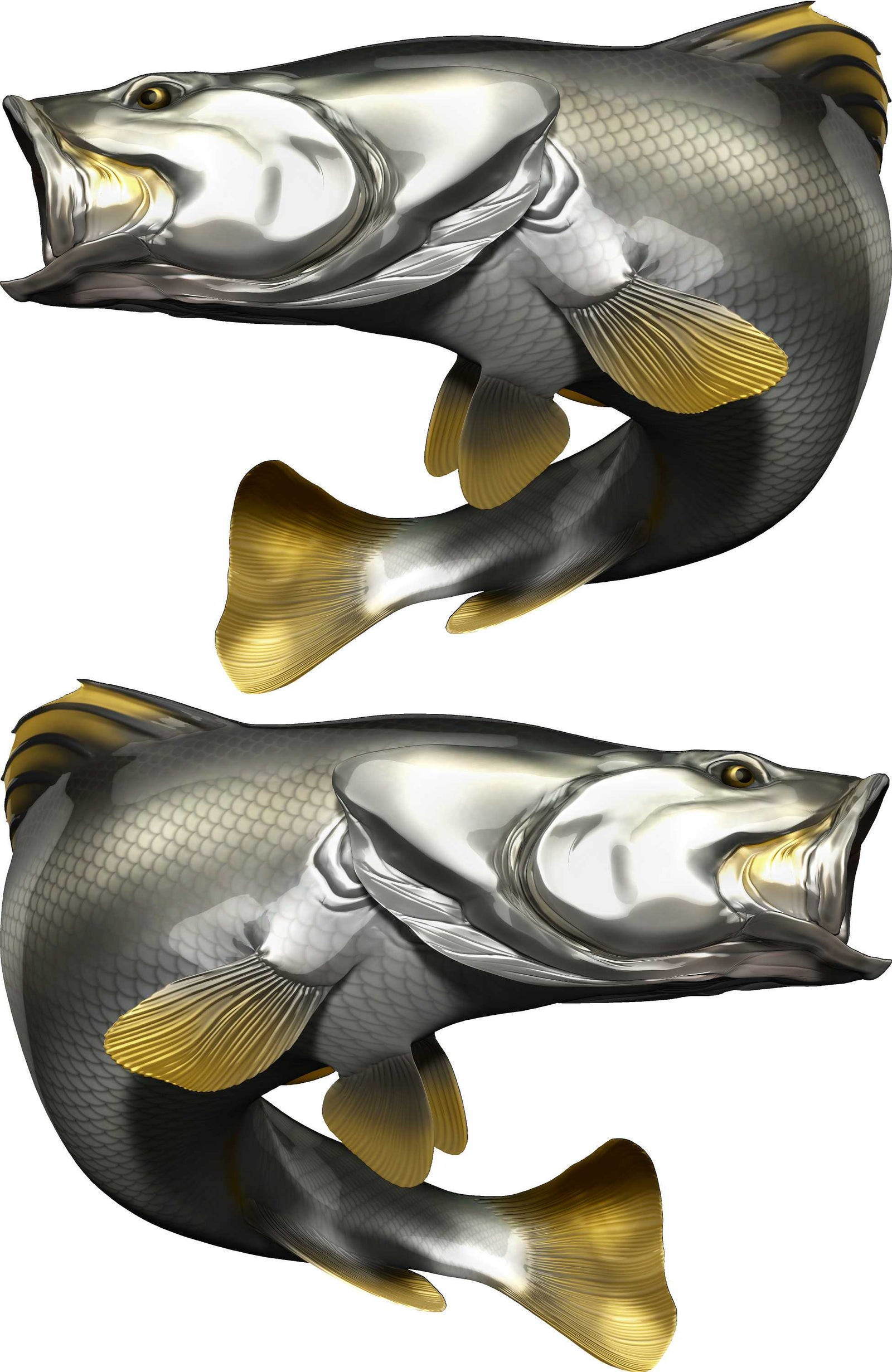 Barramundi fish decal on the side of a boat