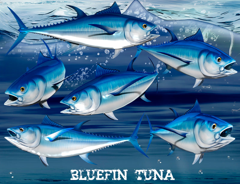 Bluefin Graphics Bluefin Tuna Boat Decal | Side-View Vinyl Graphic, Custom Sizes ...