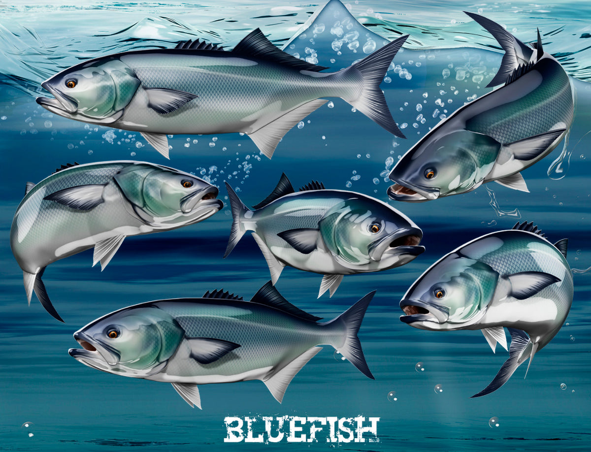 blue fish decals available pose styles