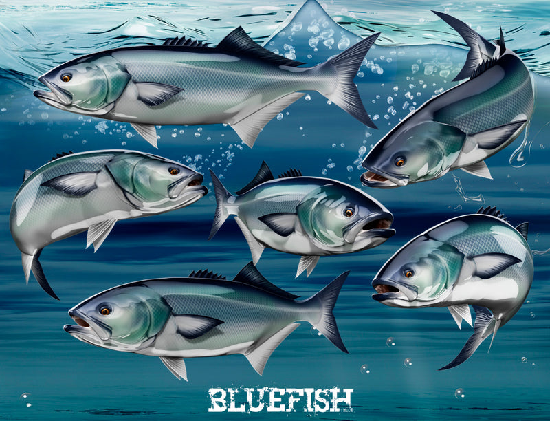 blue fish decals available pose styles
