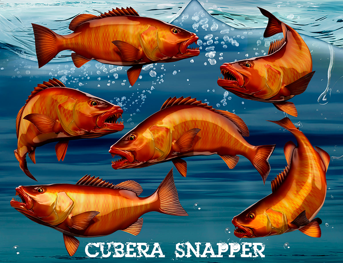 Cubera Snapper decals available in 6 different poses , one is swimming forward side view, one is turning , one jumping etc..