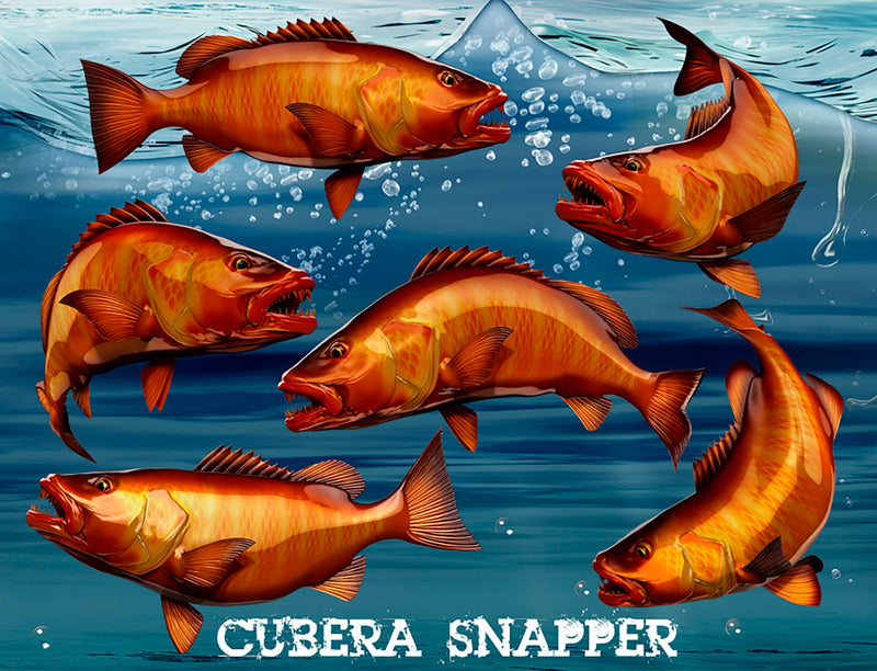 Cubera Snapper decals available in 6 different poses , one is swimming forward side view, one is turning , one jumping etc..