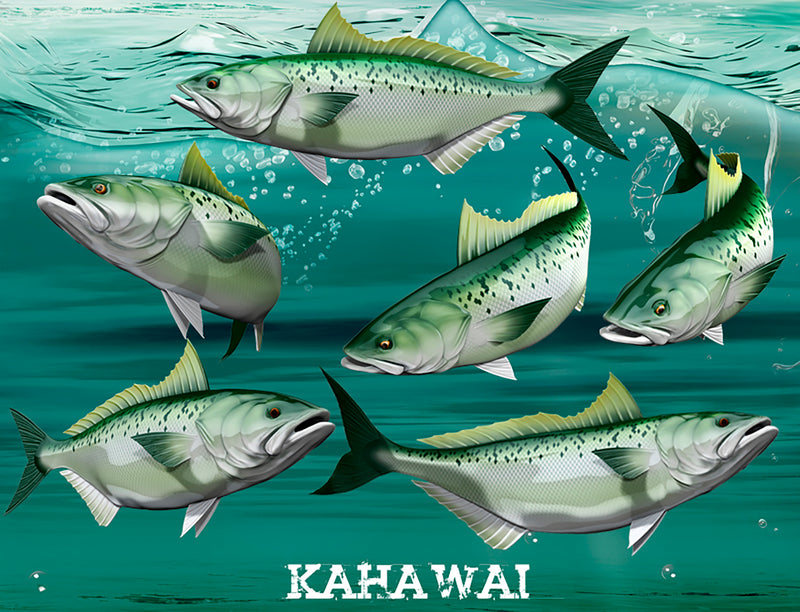 Kahawai fish decals available design pose