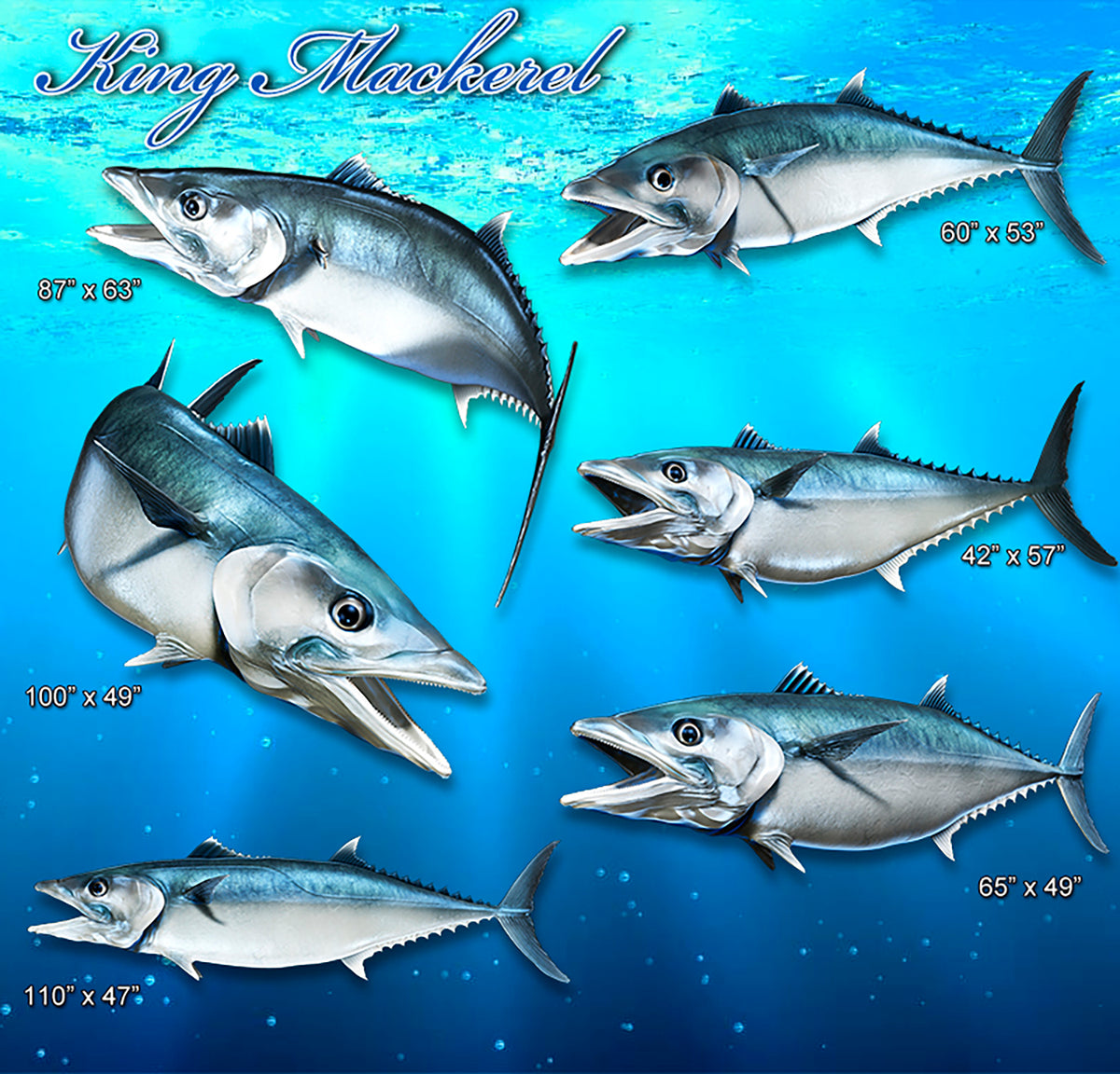 King Mackerel decals available design poses