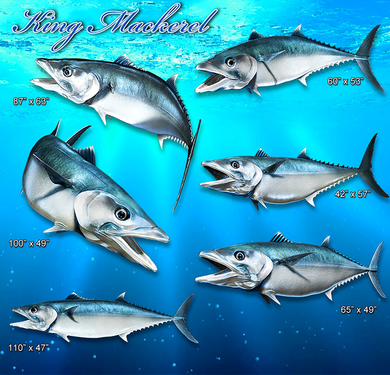King Mackerel decals available design poses