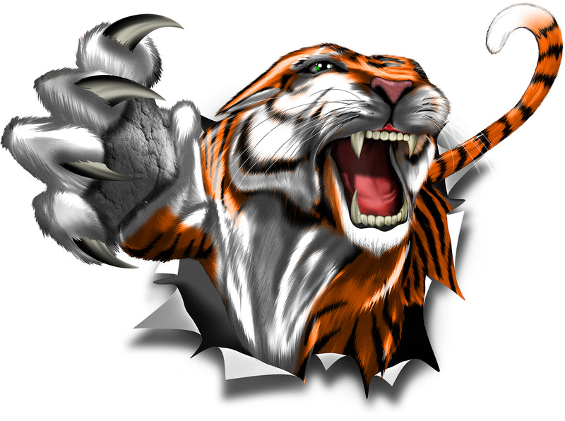 Roaring tiger ripping through metal printed hood decal design for cars and trucks