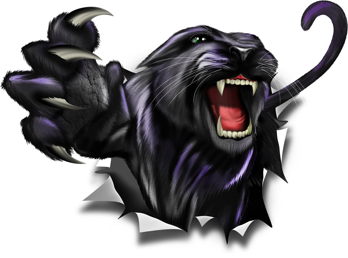 Roaring panther bursting out of torn metal printed hood decal design