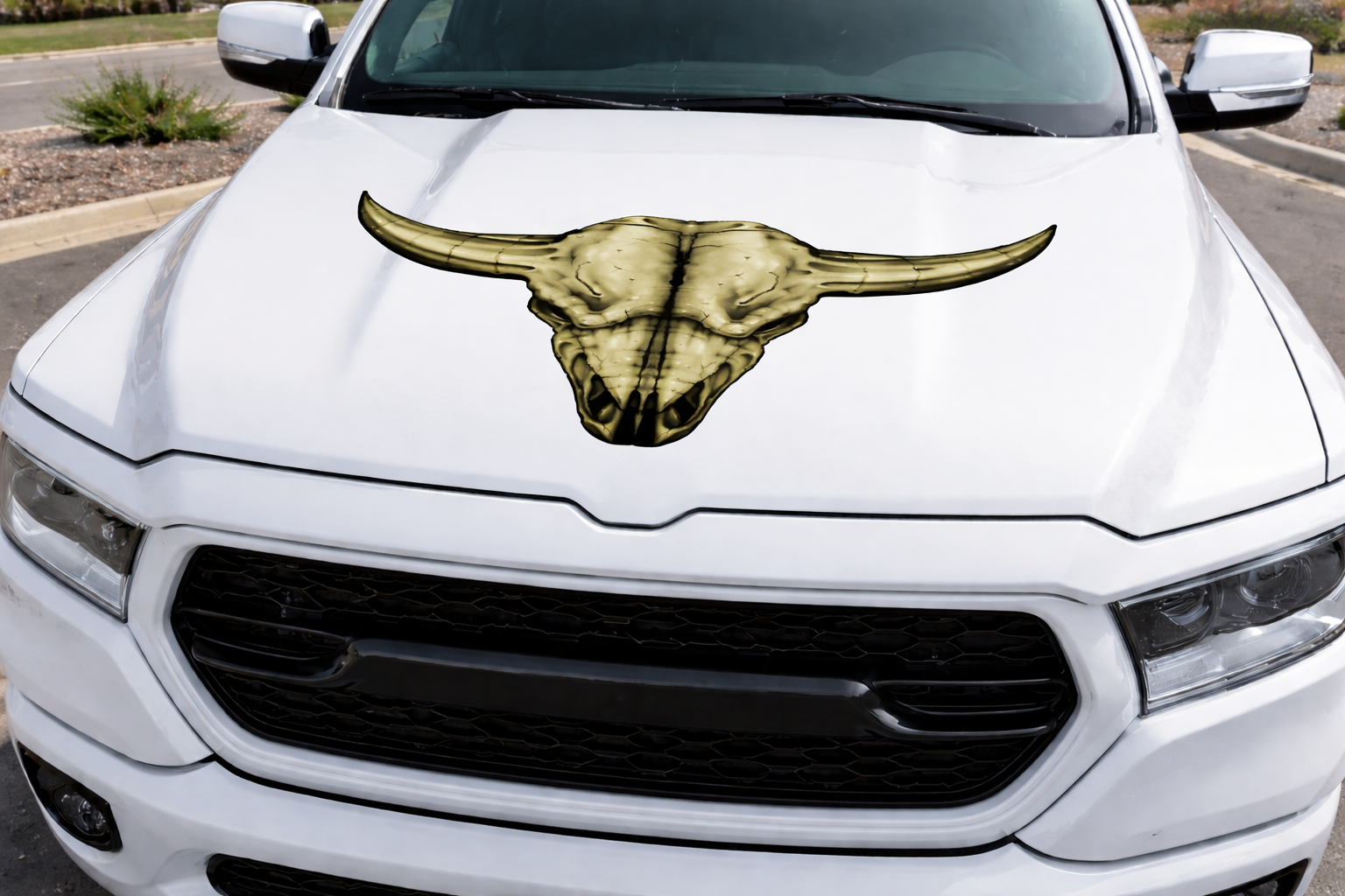 White pickup truck hood with longhorn skull vinyl decal, wide horns and weathered bone detail