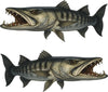 barracuda vinyl decals kit set of two for each side of the boat