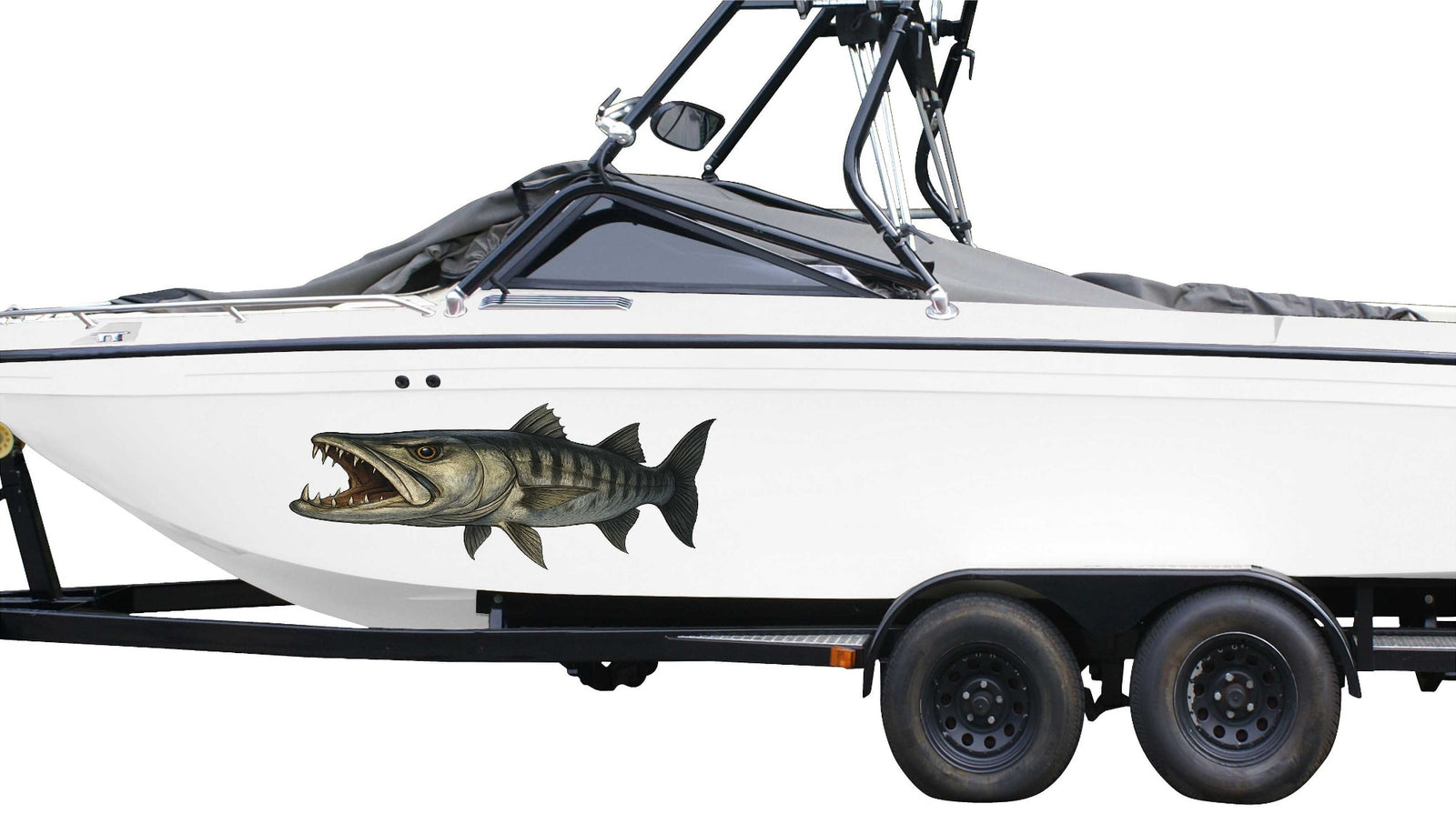 Barracuda vinyl graphics on the side of white boat