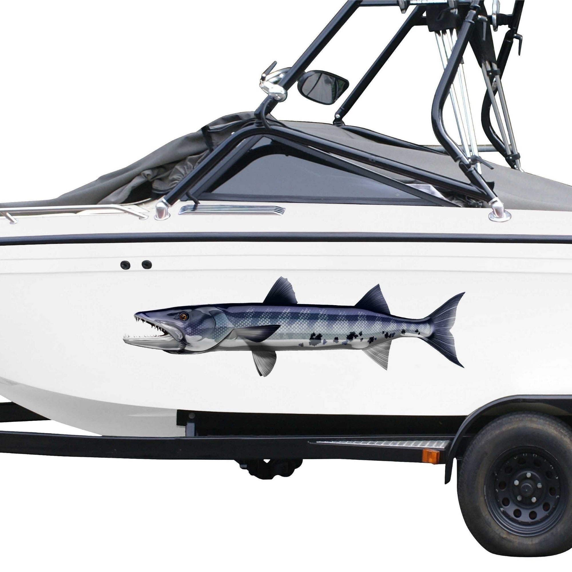 blue barracuda vinyl graphics installed on the side of a boat