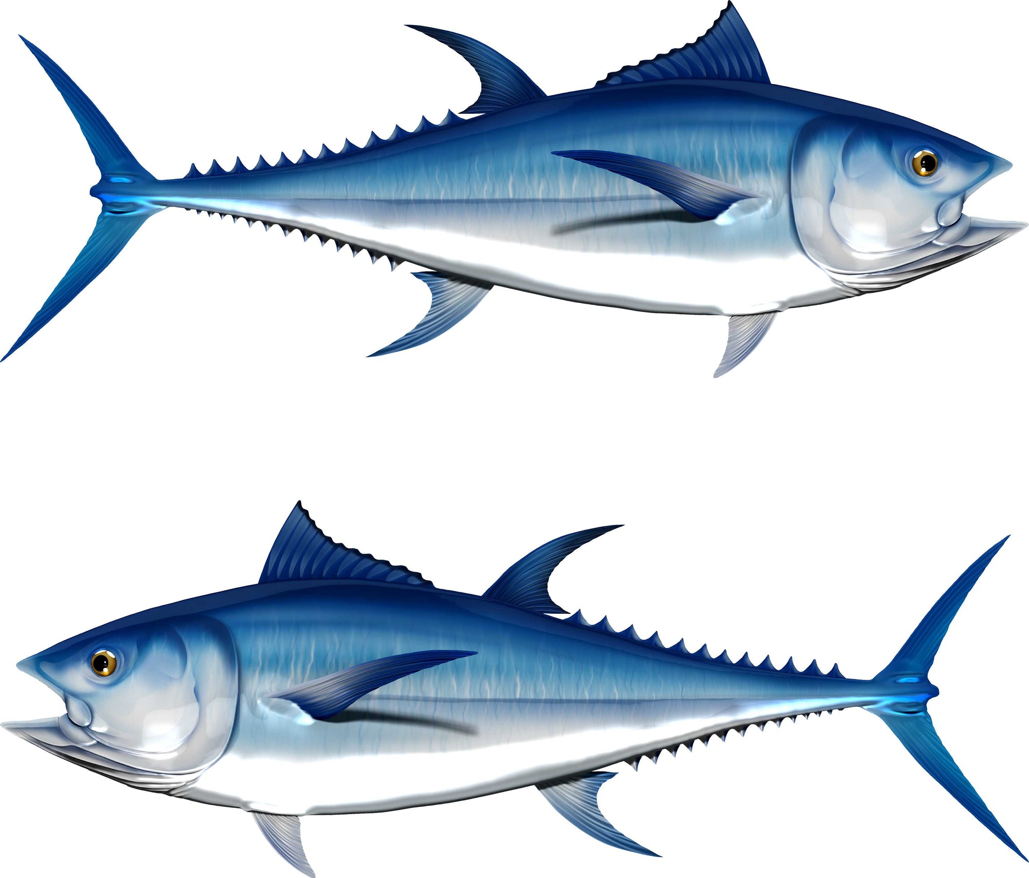 bluefin tuna fish decal on the side of a boat