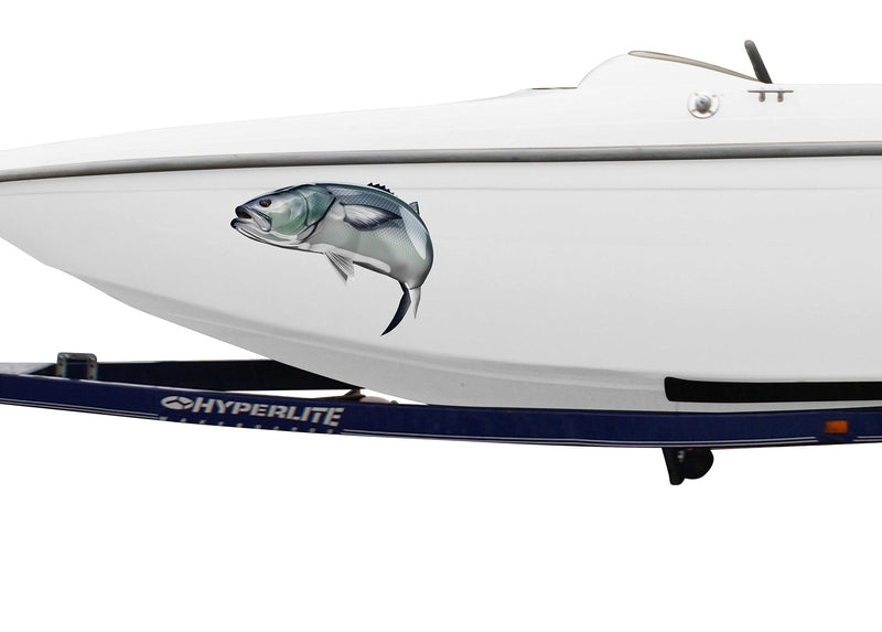 bluefish decal on the side of boat