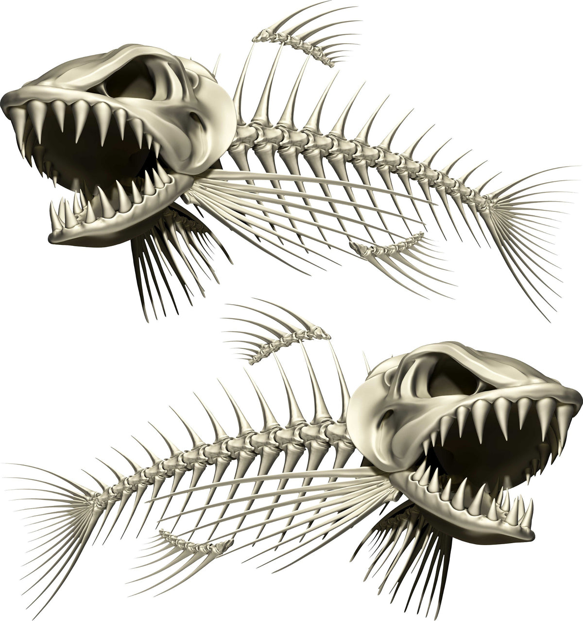 bone fish skeleton graphics kit for boat