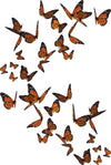 Driver-side mirrored butterfly swarm vinyl decal flowing upward along vehicle panel