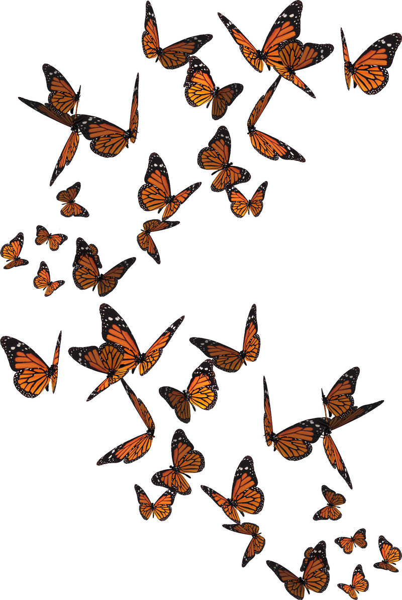 Driver-side mirrored butterfly swarm vinyl decal flowing upward along vehicle panel