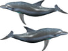 dolphin decals kit for boats