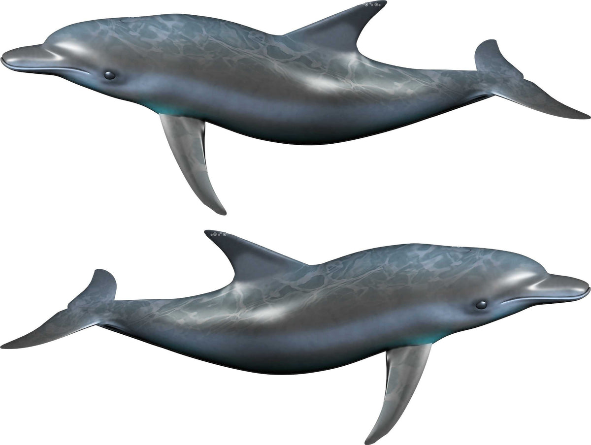 dolphin decals kit for boats