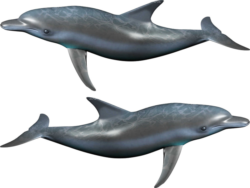 dolphin decals kit for boats
