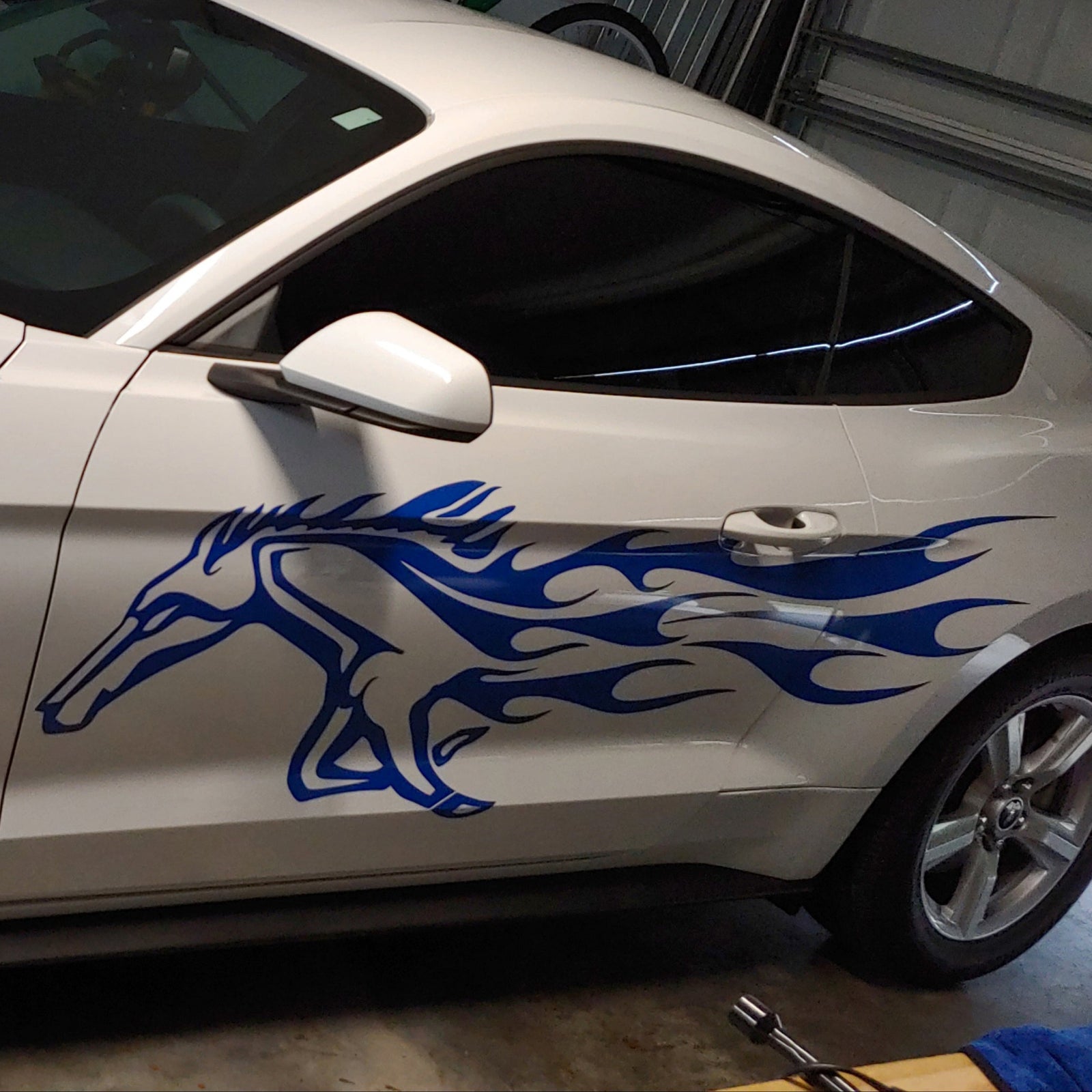 White car with a blue Mustang horse decal in a garage