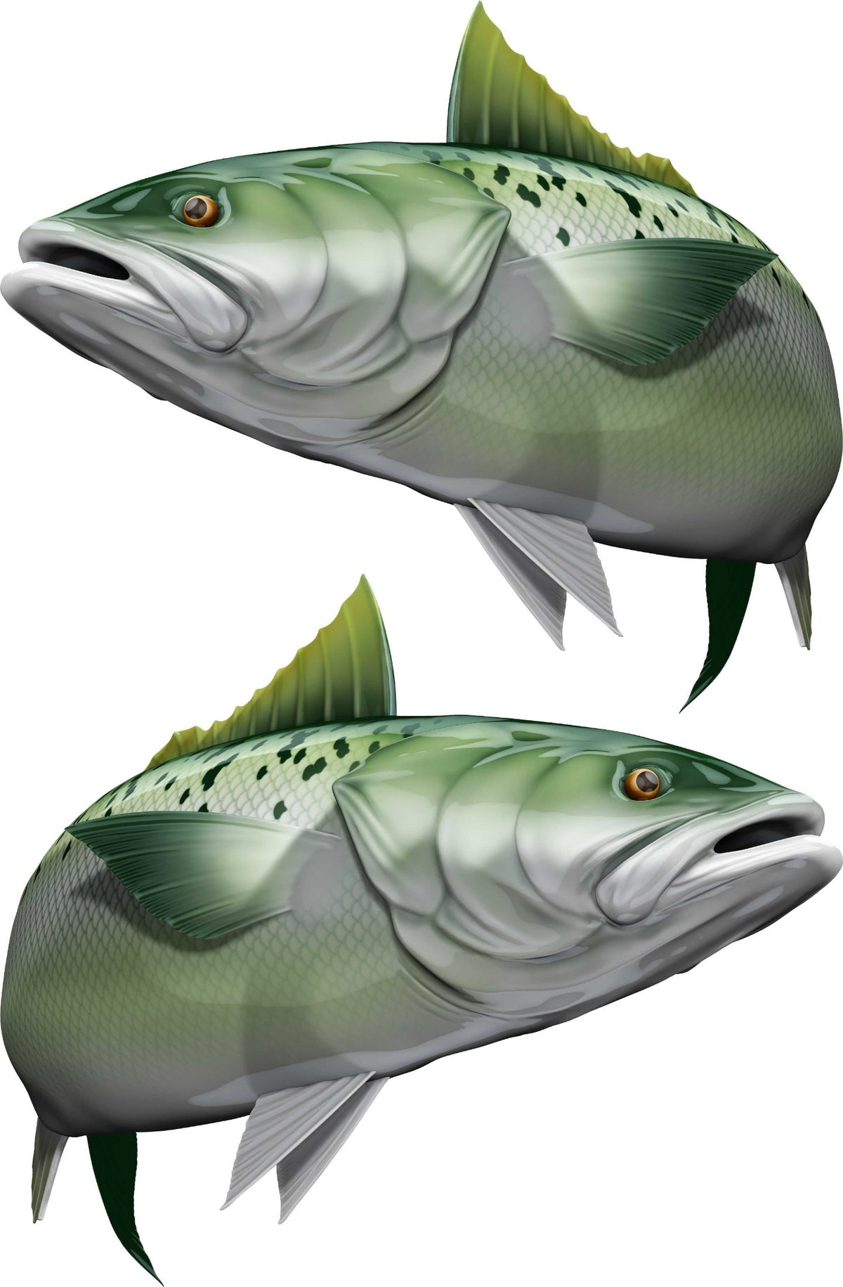 kahawai fish decals kit for boats