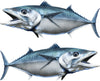 king mackerel decals kit for boat