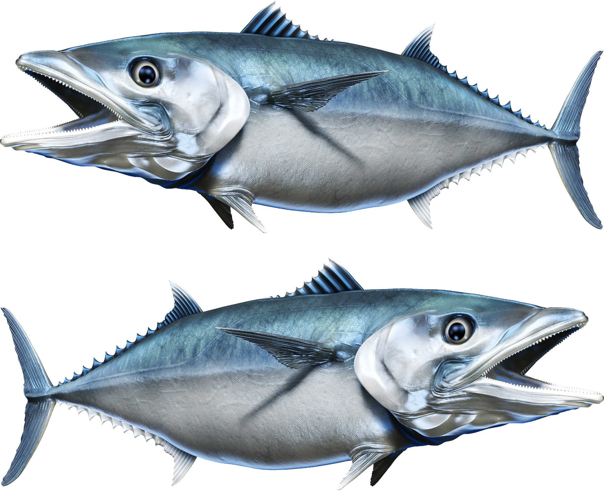king mackerel decals kit for boat