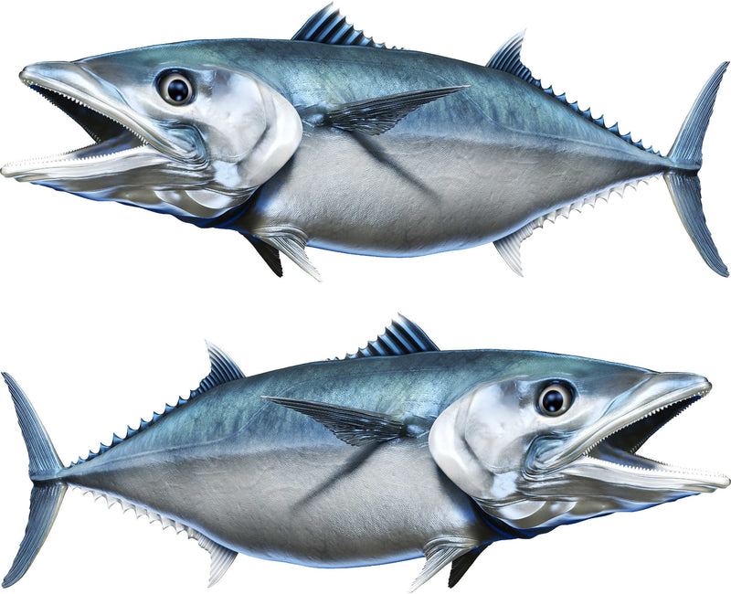 king mackerel decals kit for boat