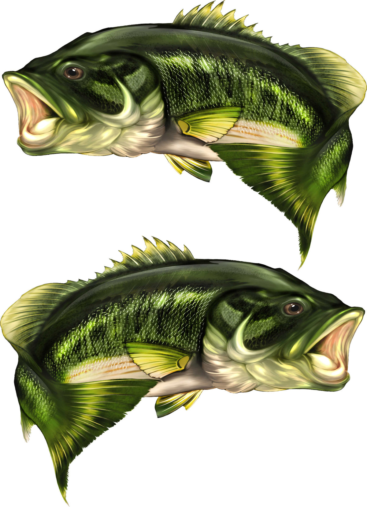largemouth bass decals kit for boats