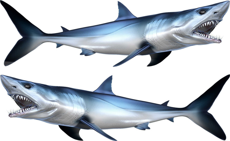 mako shark decals kit for boats, one for port side and one for starport side.