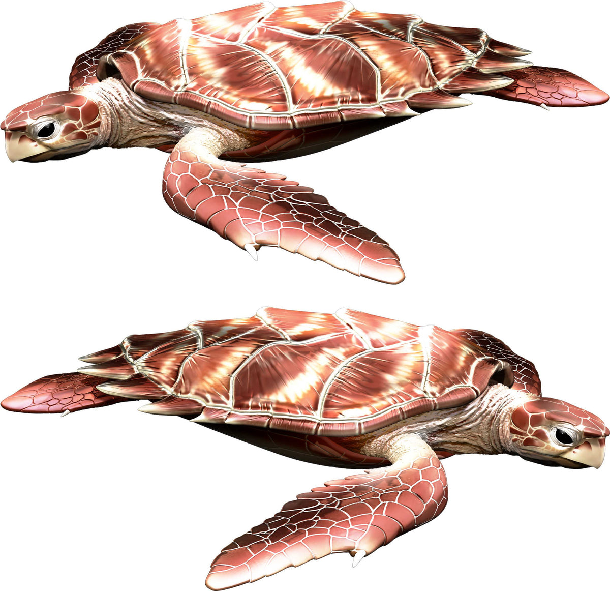 pair of realistic sea turtle boat decals mirrored for left and right sides of a hull