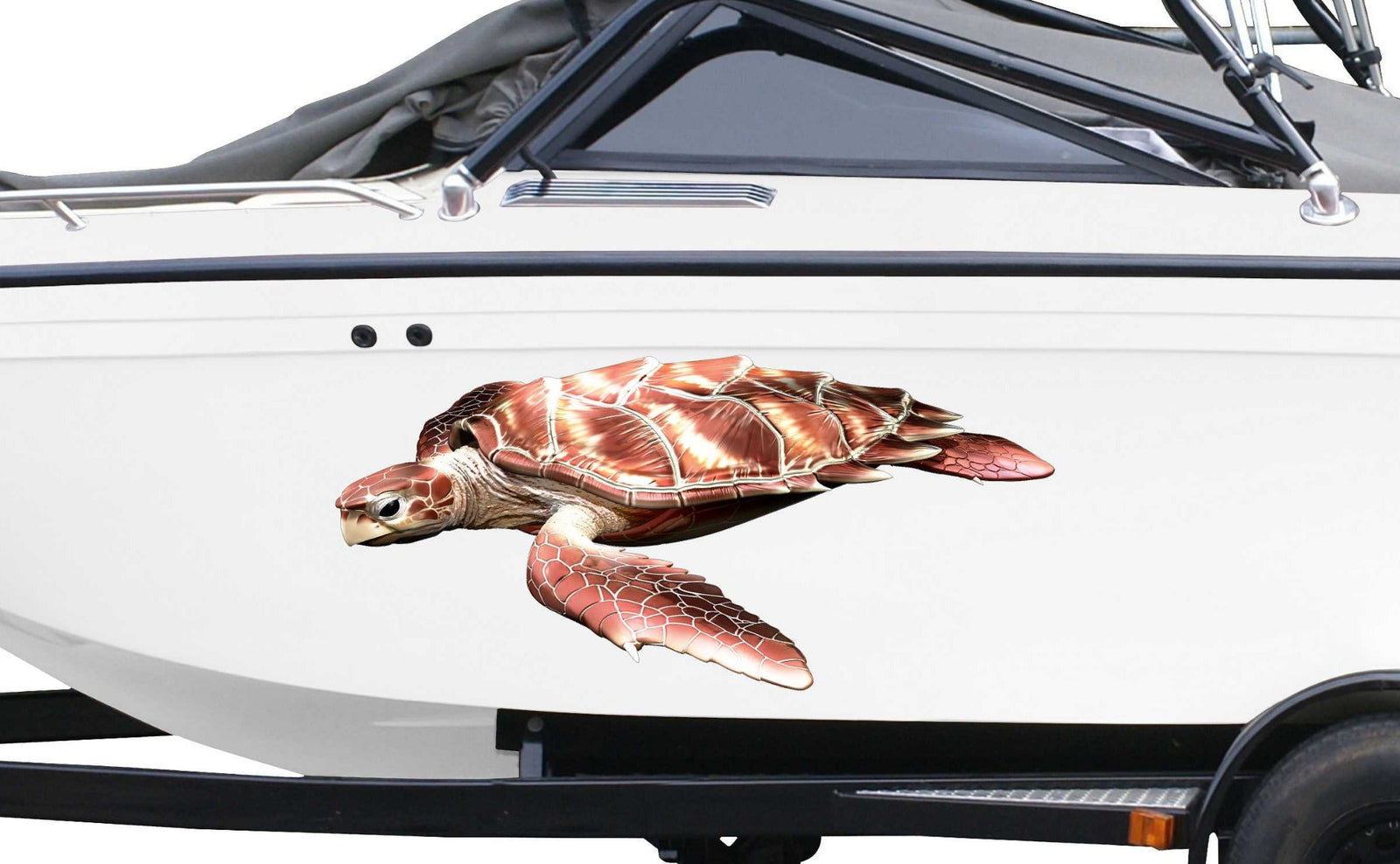 white boat with sea turtle vinyl decal on the hull