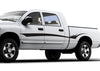 white pickup with black thorn stripe decal on driver side