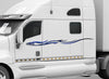 white semi truck with blue silver stripe vinyl graphics on its cab driver side