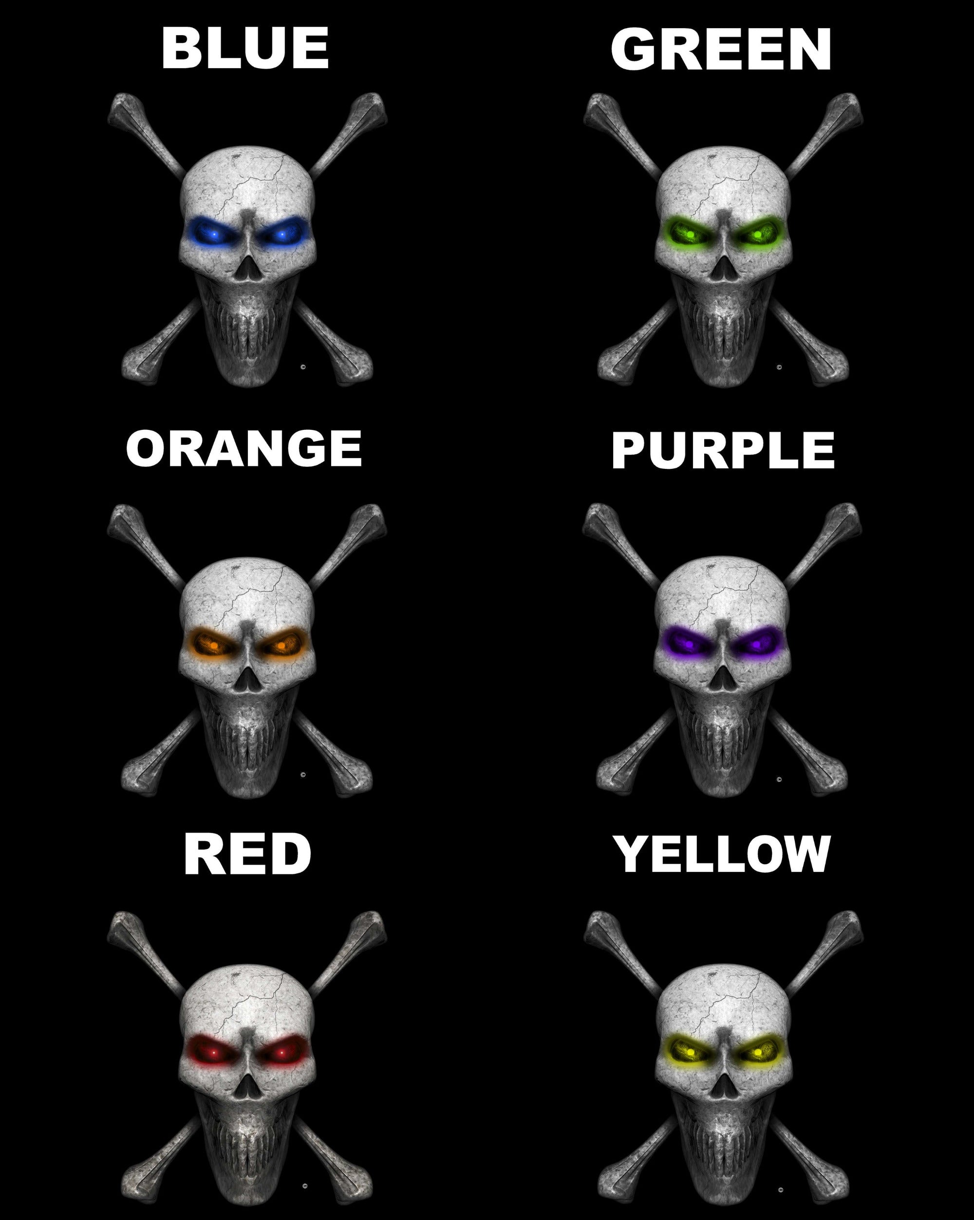 grey skull and bones vinyl decal on white truck bed