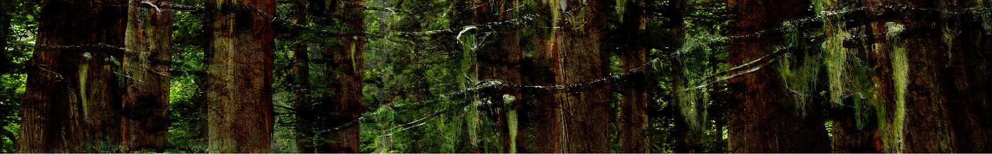 camo cedar vinyl wrap on small boat