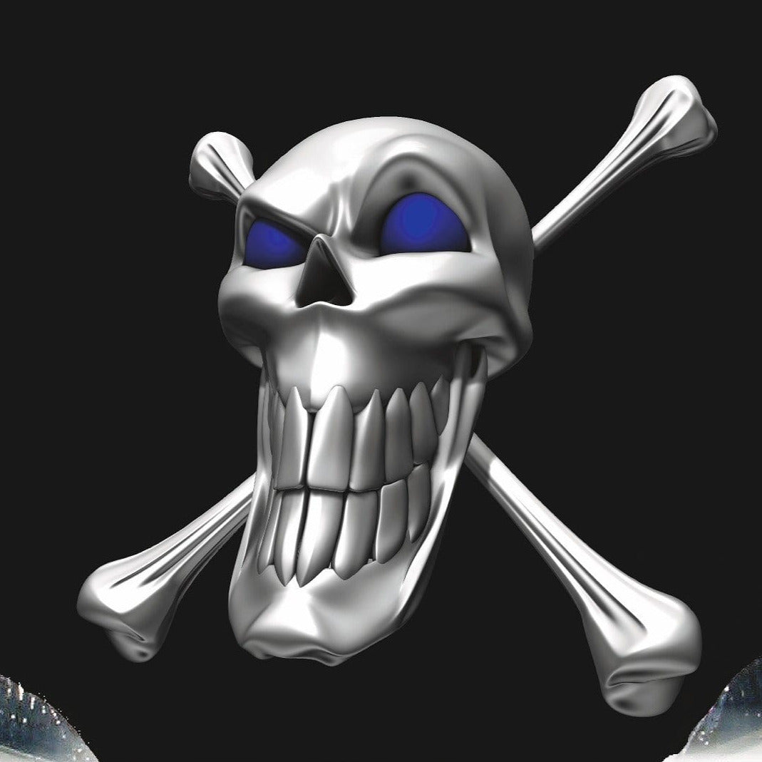 chrome skull and crossbones on car hood