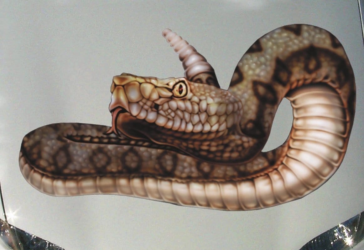 rattlesnake vinyl decal for truck
