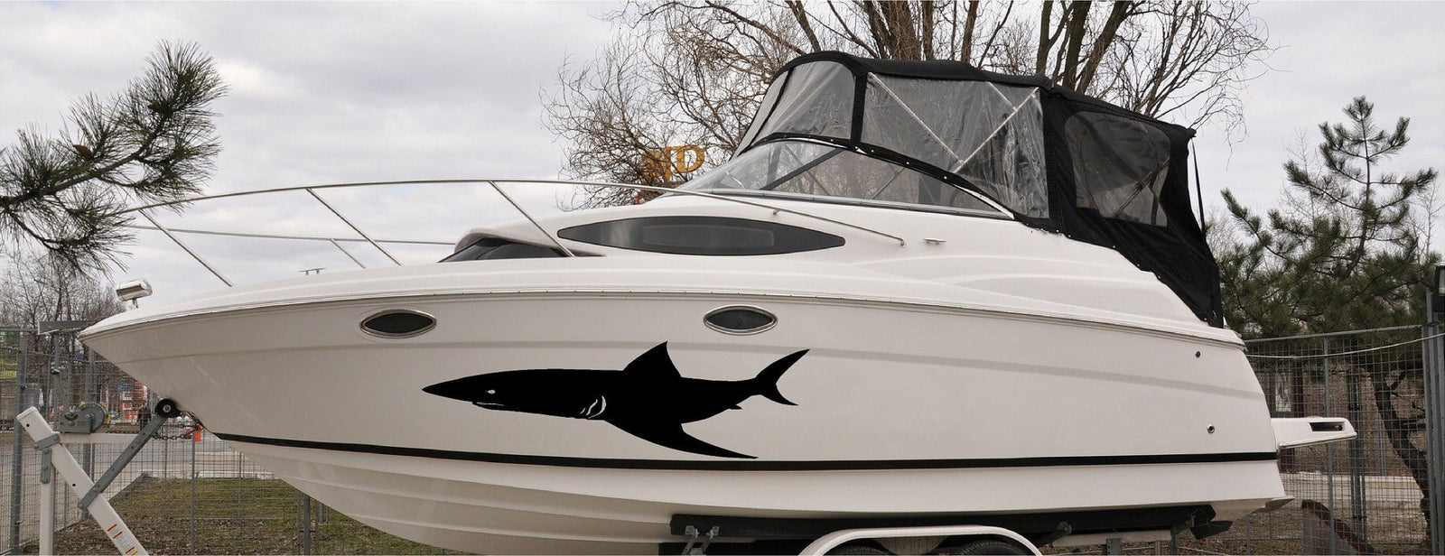 shark vinyl decal on boat
